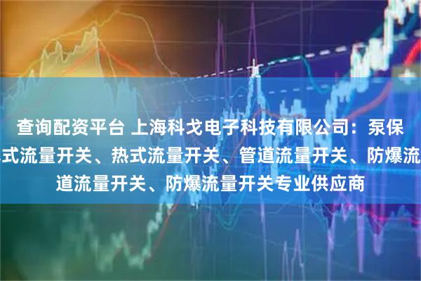 查询配资平台 上海科戈电子科技有限公司：泵保护流量开关、活塞式流量开关、热式流量开关、管道流量开关、防爆流量开关专业供应商